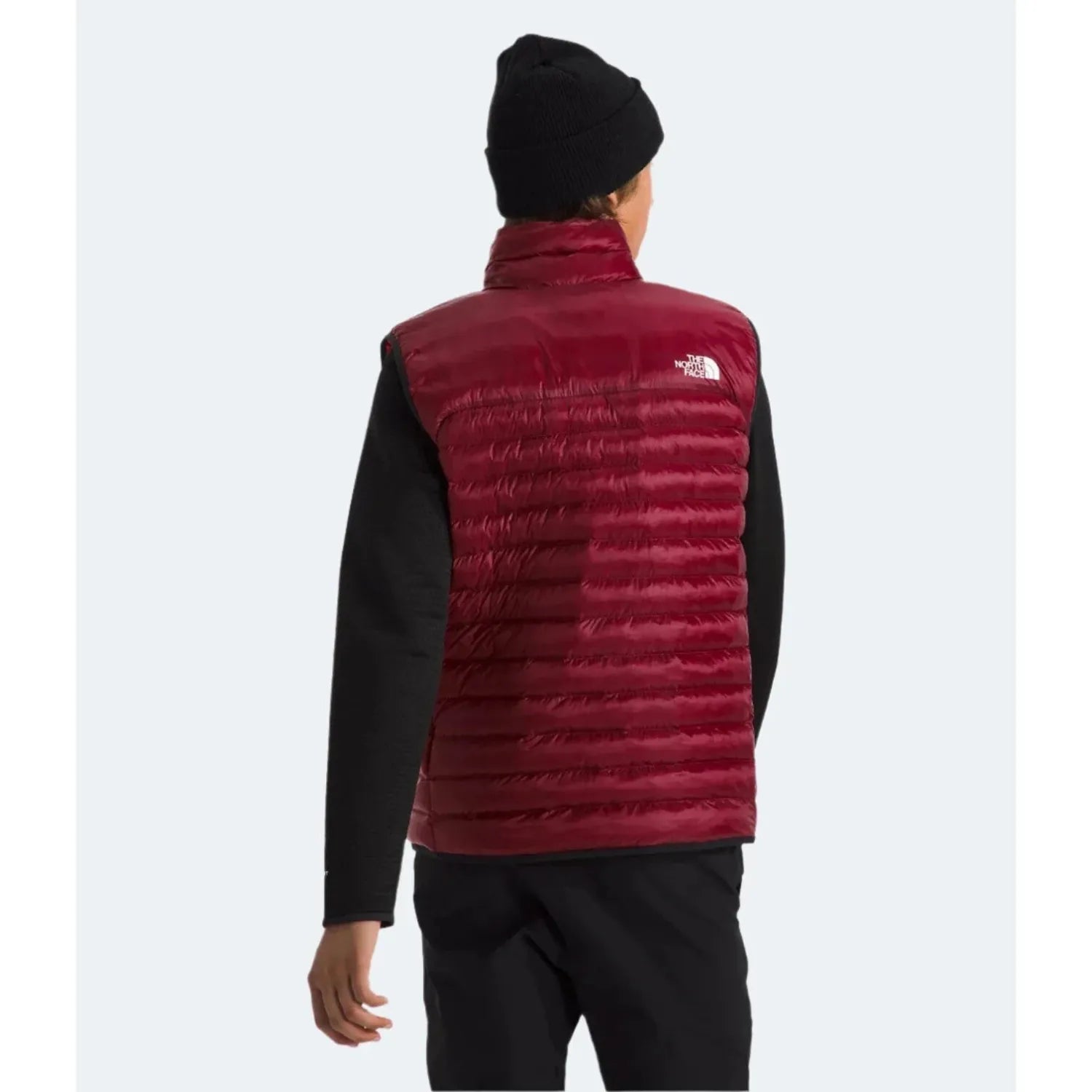 The North Face Men's Terra Peak Vest shown in the Beetroot color option. Back view on model.