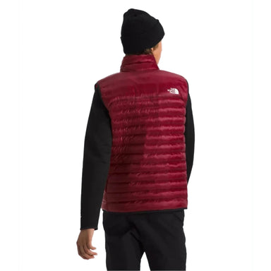 The North Face Men's Terra Peak Vest shown in the Beetroot color option. Back view on model.