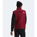 The North Face Men's Terra Peak Vest shown in the Beetroot color option. Back view on model.