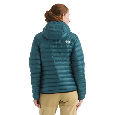 The North Face Women's Terra Peak Hoodie in Space, back view on model 