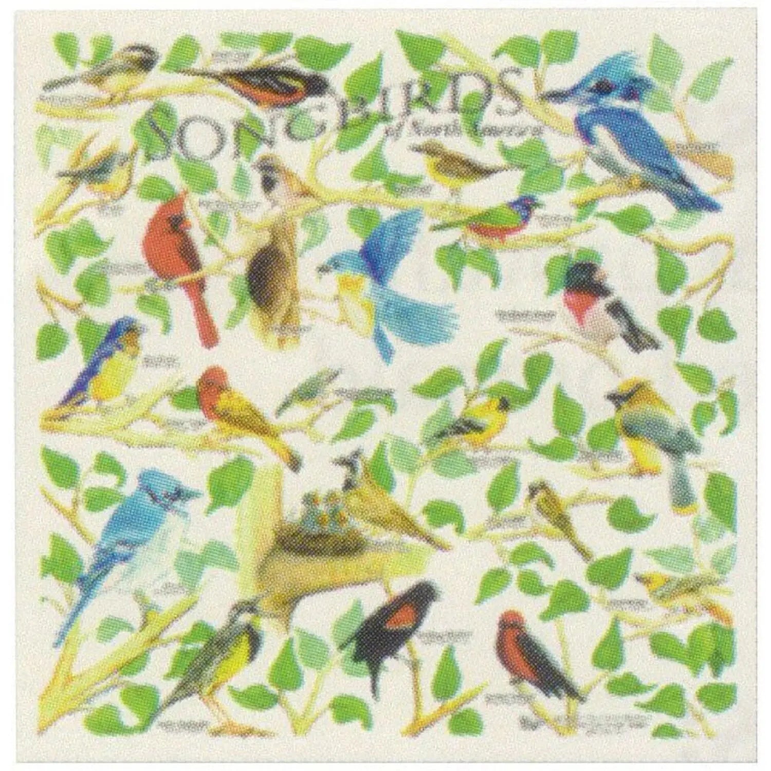 The Printed Image Nature Facts Bandanas shown in the Songbirds design option.