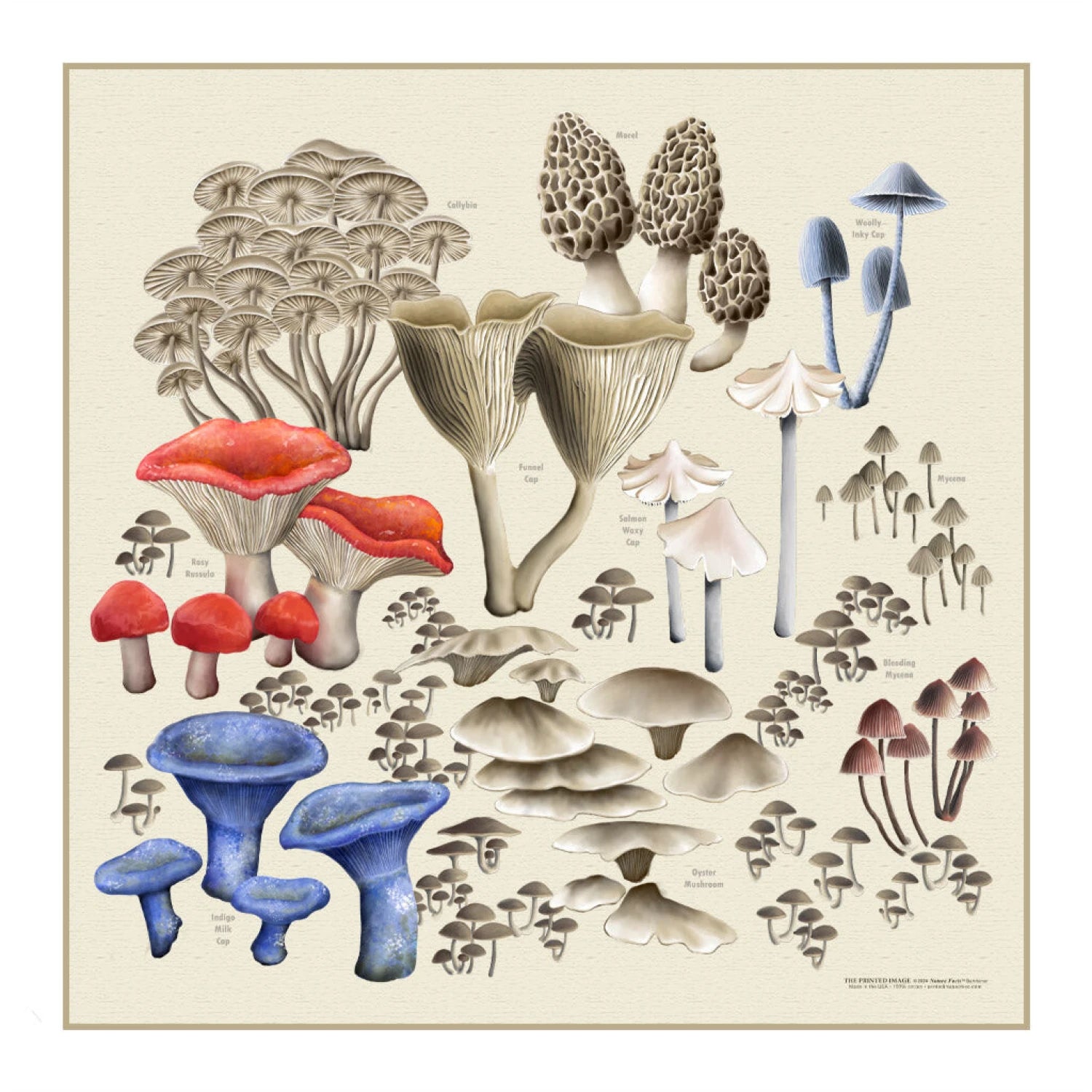 The Printed Image Nature Facts Bandanas in mushroom print