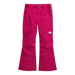 The North Face Kid's Freedom Insulated Pants in Lali Guan, front view flat