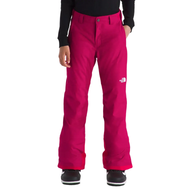 The North Face Kid's Freedom Insulated Pants in Lali Guan, front view on model 