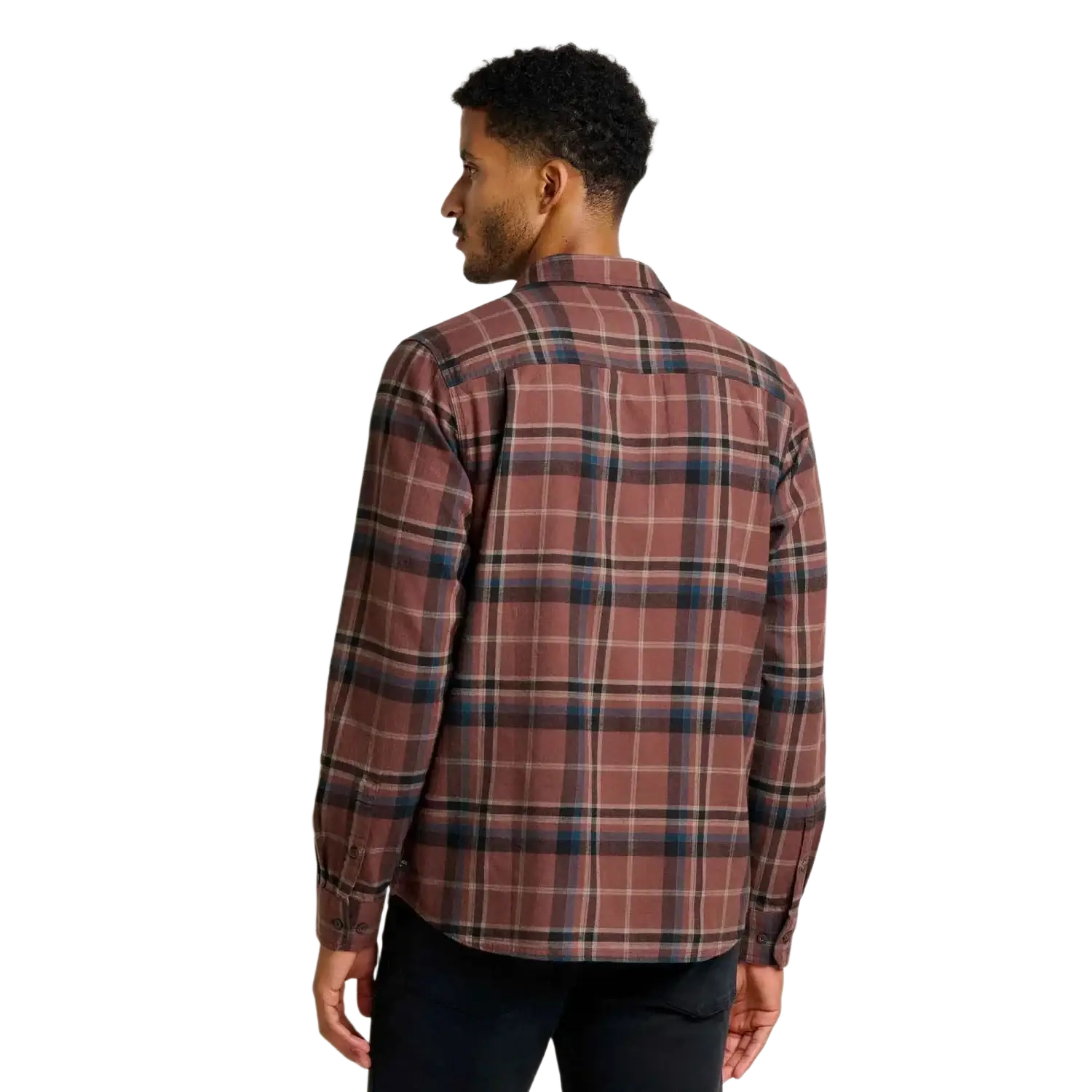 Toad & Co Men's Pinevale Long Sleeve Shirt, back view