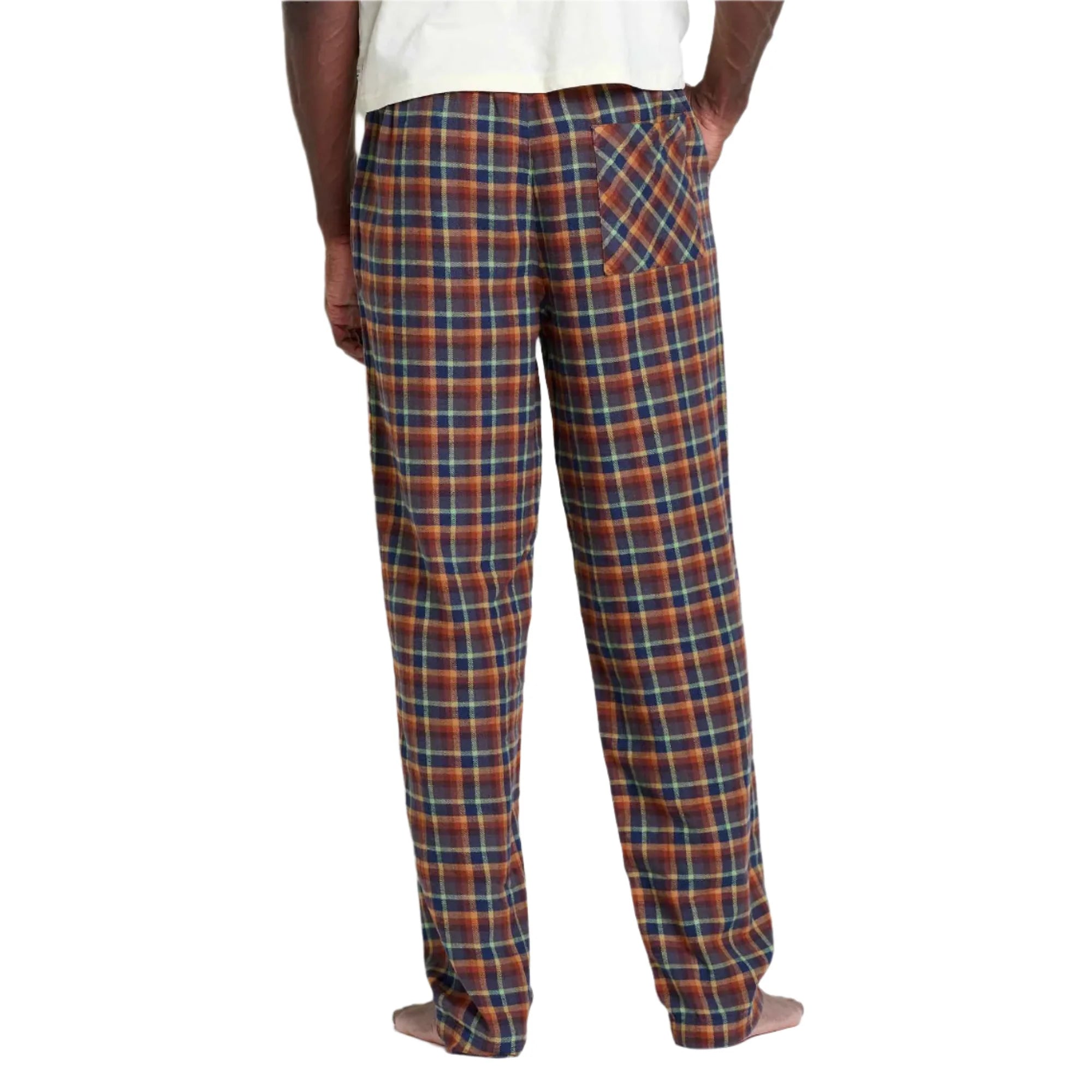 toad and co mens shuteye pant in dark roast back model view