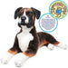 Viahart Toys Life-Sized Dog Plush, bob the boxer front view
