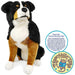 Viahart Toys Life-Sized Dog Plush, bryson the bernese mountain dog front view