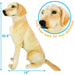 Viahart Toys Life-Sized Dog Plush, leanna the labrador side view