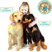 Viahart Toys Life-Sized Dog Plush, robbie the rottweiler and leanna the labrador with kid