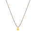 Bronwen Jewelry Tiny Charm Necklace 16" Navigate Gold View
