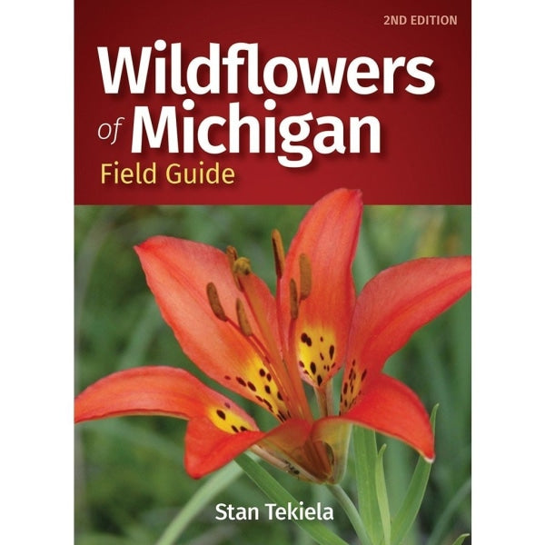 Wildflowers of Michigan
